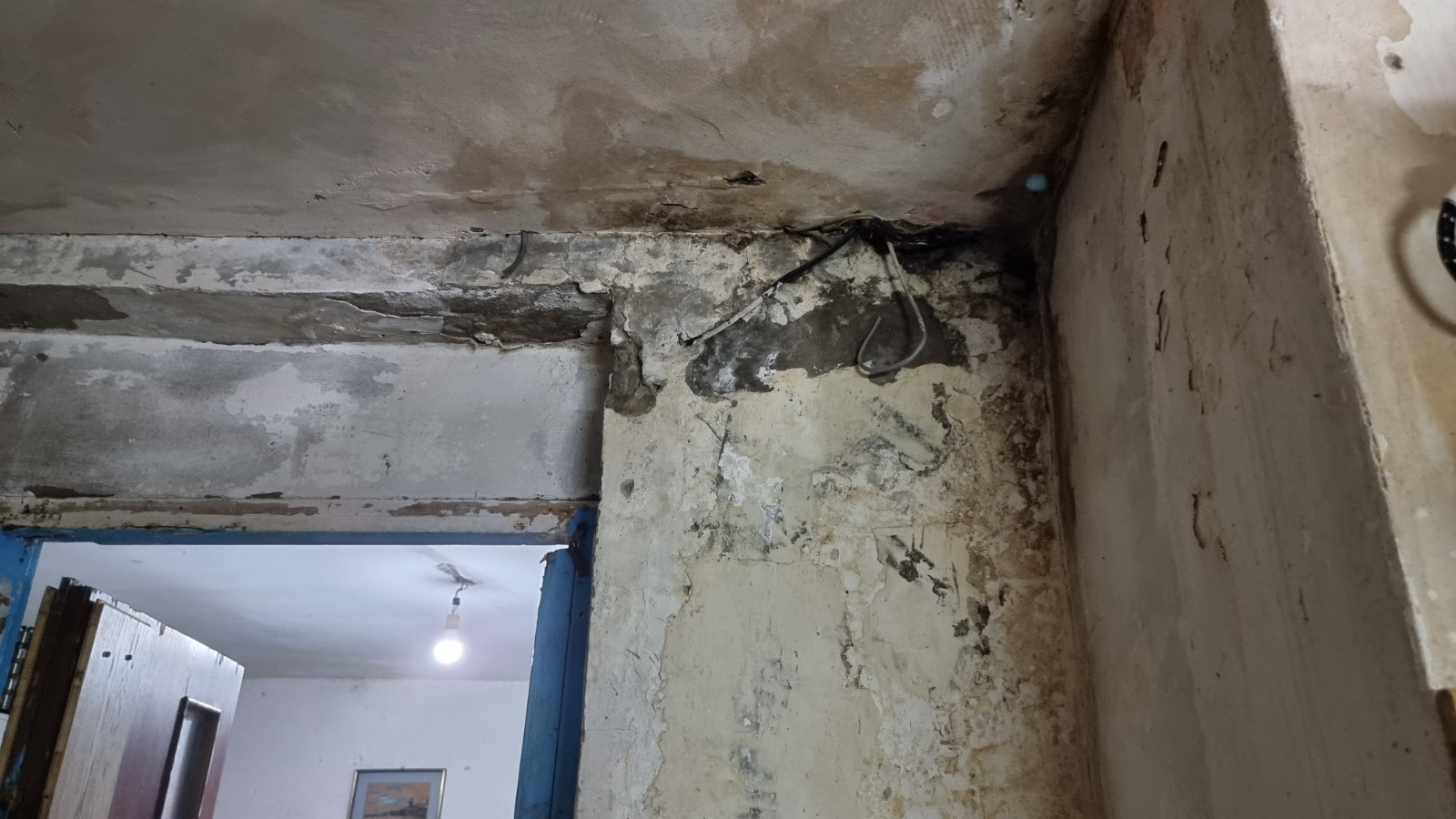 WhatsApp Image 2021-08-13 at 9.56.18 PM (2).jpeg